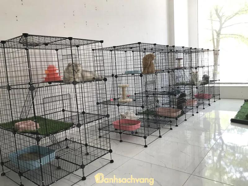Hình ảnh Bệnh viện thú y 108 VET - Đống Đa: 108 Nguyễn Lương Bằng, Quận Đống Đa