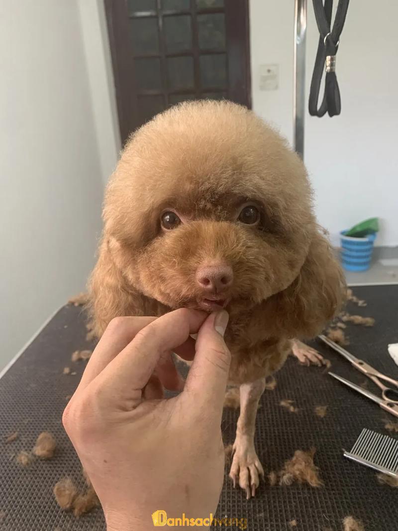 Hình ảnh Bệnh viện thú y 108 VET - Đống Đa: 108 Nguyễn Lương Bằng, Quận Đống Đa