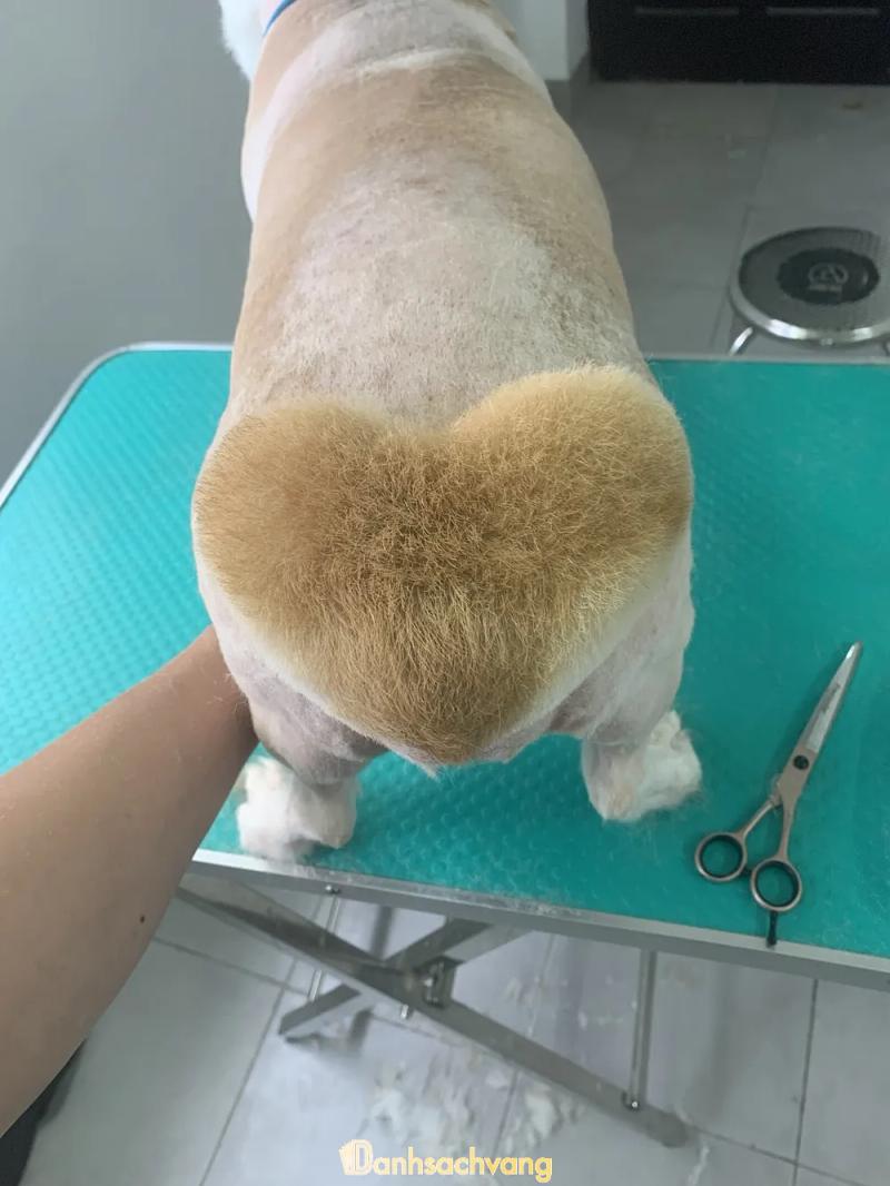 Hình ảnh Bệnh viện thú y 108 VET - Đống Đa: 108 Nguyễn Lương Bằng, Quận Đống Đa