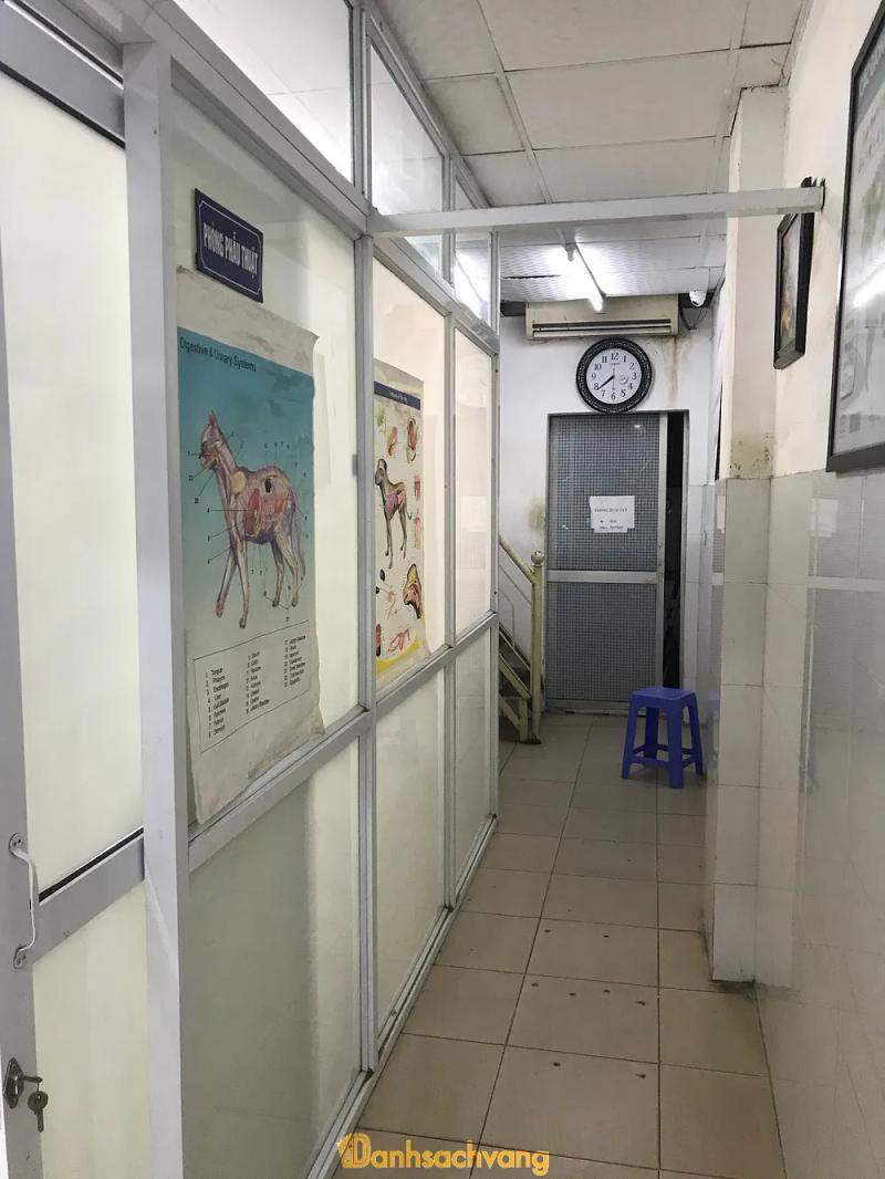 Hình ảnh Phòng khám thú y 4Pet: 118 Trường Chinh, Quận Đống Đa