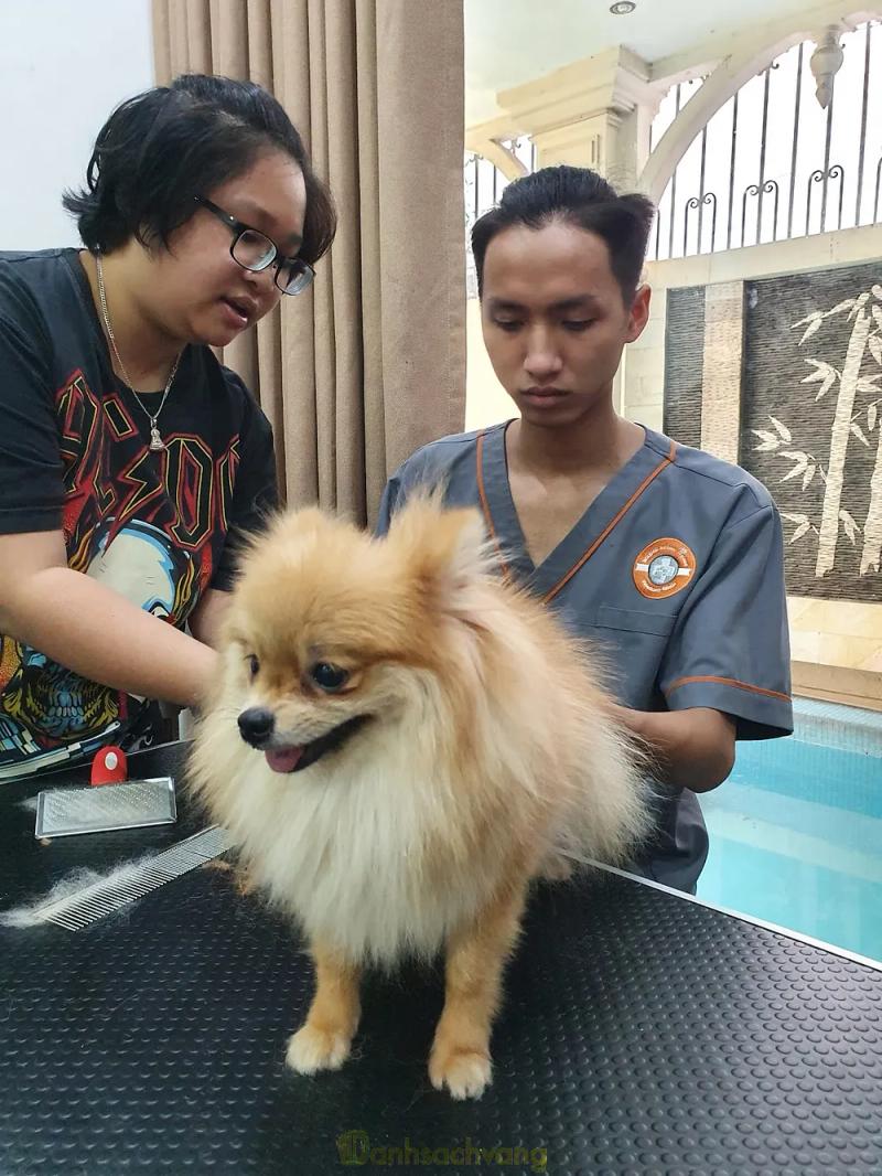 Hình ảnh MAI Veterinary Clinic - Phòng Khám Thú Y Mai: 295 Hoàng Hoa Thám, TP Hà Nội