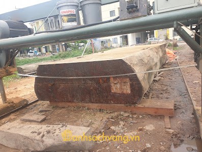 Công ty Cổ phần Đầu tư Xây dựng và Thương Mại Sao Hồng