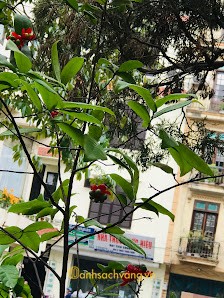Công ty Cổ phần Đầu tư - Xây dựng Hà Nội