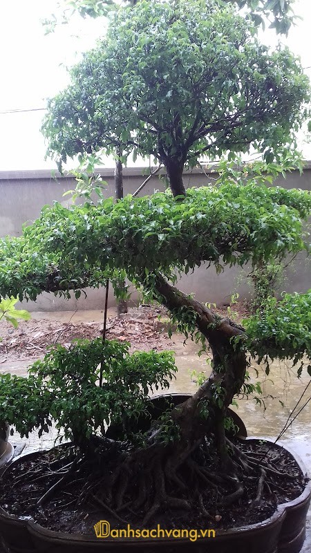 Công Ty TNHH TM & XD Thành Trung tại Ninh Bình