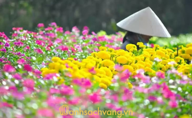 Vườn hoa Chợ Lũng cảnh đẹp như tranh vẽ