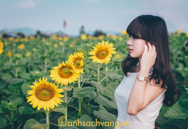 Rất nhiều bạn trẻ sáng tạo ra các kiểu chụp hình độc đáo với hoa hướng dương