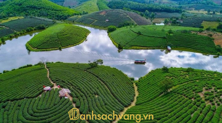 Đồi chè Thanh Chương khi nhìn từ trên cao