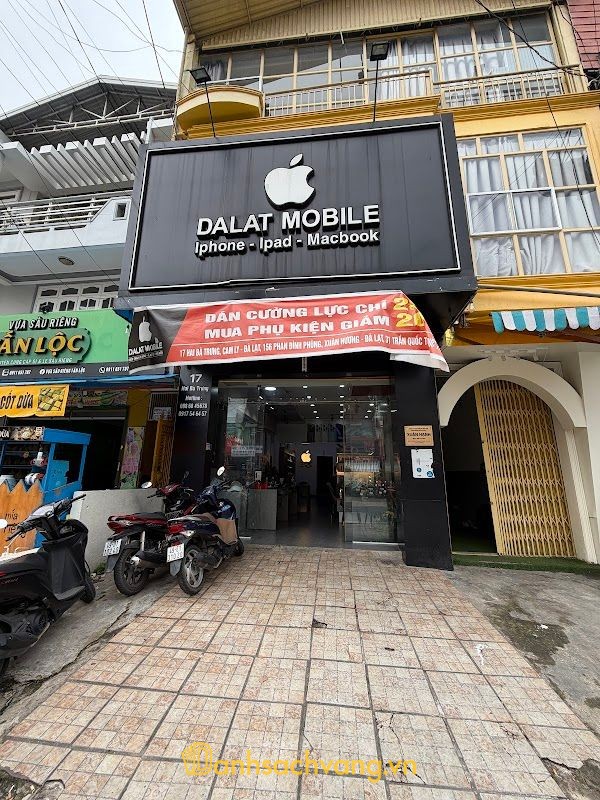 DaLat Mobile - 17 Hai Bà Trưng, Đà Lạt