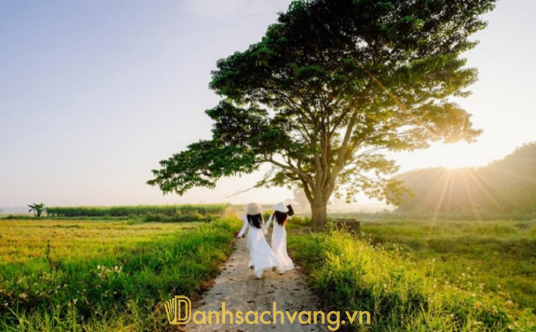 Cây cô đơn Mắt Biếc