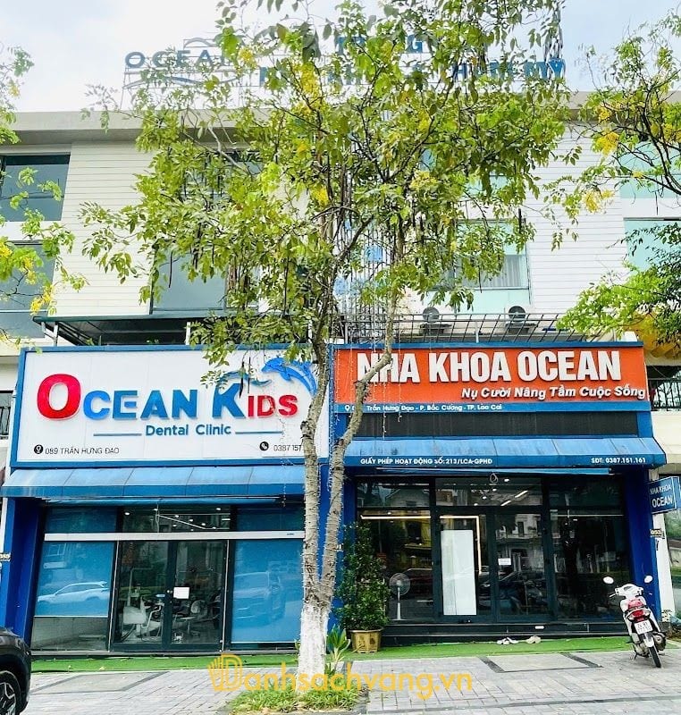 Nha Khoa Ocean - 91Trần Hưng Đạo, Cam Đường