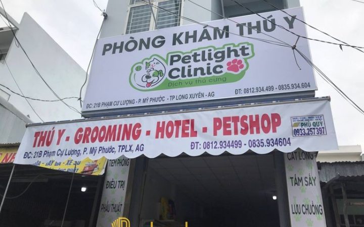 8 Phòng khám thú y ở An Giang uy tín, chăm sóc toàn diện cho thú cưng