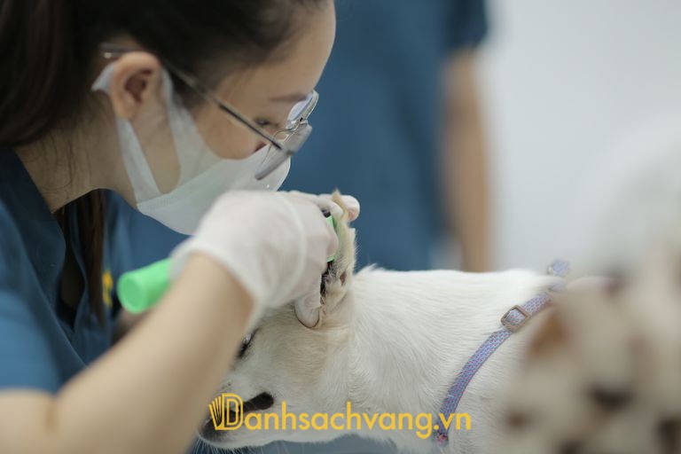Bệnh viện Thú Y Bắc Ninh Helios