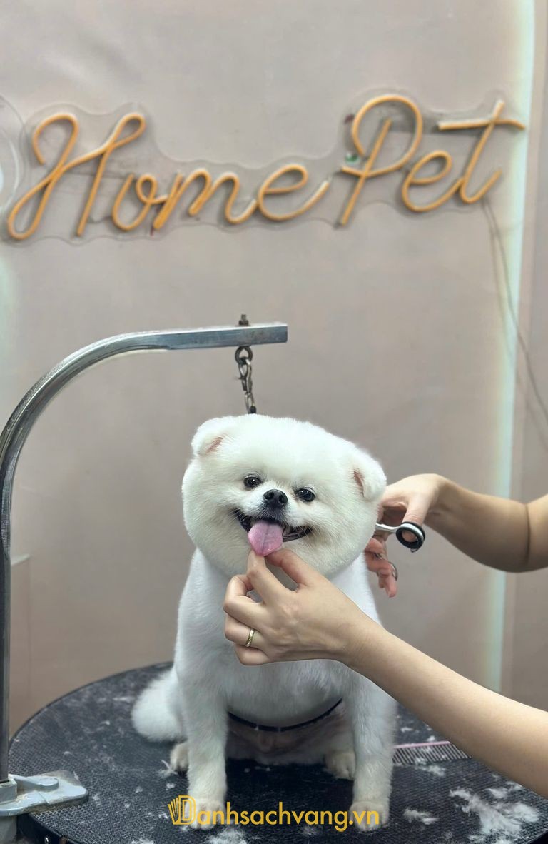 Bệnh Viện Thú Y HomePet Bắc Ninh
