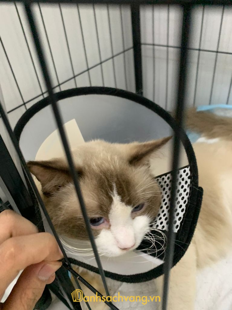 Phòng khám Thú y Đồng Hành Cần Thơ
