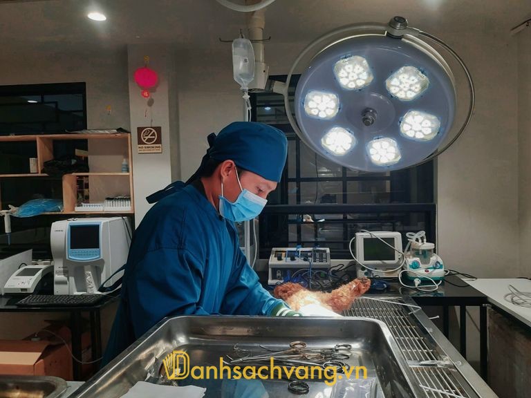 Phòng khám Thú y Vy Vet Cần Thơ