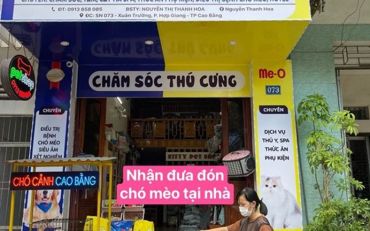 4 Phòng khám thú y ở Cao Bằng uy tín, chất lượng