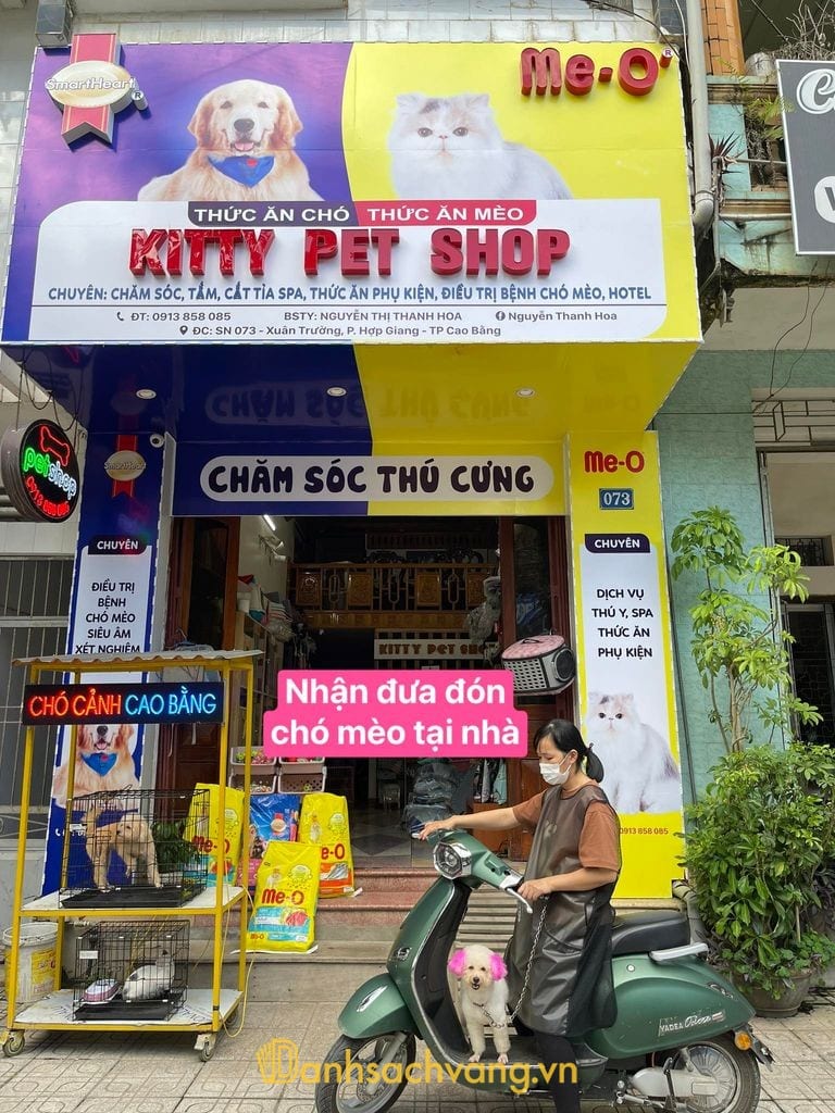 Kitty Pet Shop - Cửa hàng chăm sóc thú cưng ở Cao Bằng