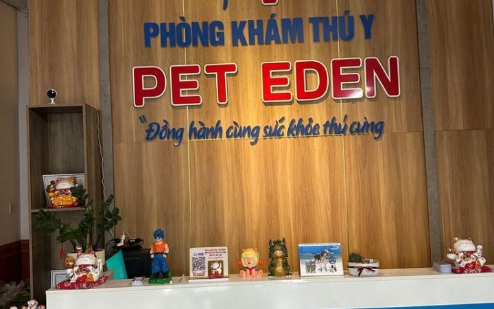 10 Phòng khám thú y ở Đà Nẵng uy tín, chăm sóc thú cưng toàn diện