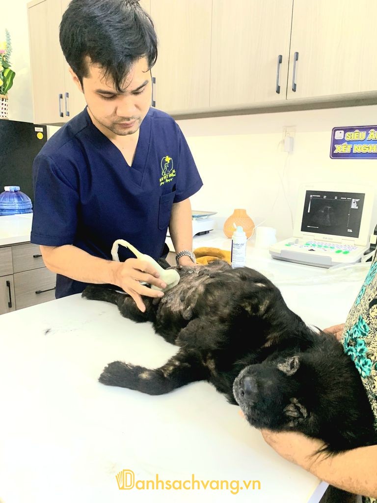 Bệnh Viện Thú Y HALO VET Buôn Ma Thuột