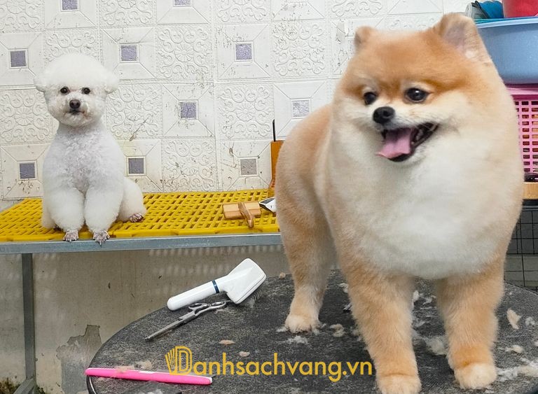Phòng Khám Thú Y T-K Pet Clinic Buôn Ma Thuột