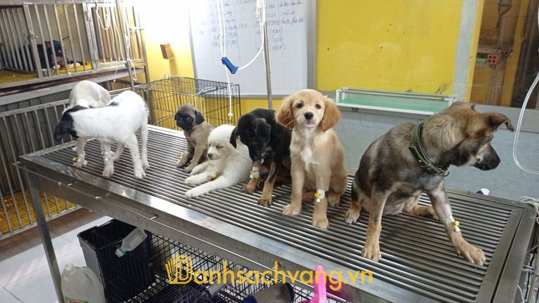 Phòng Khám Thú Y H-VET Buôn Hồ Đắk Lắk