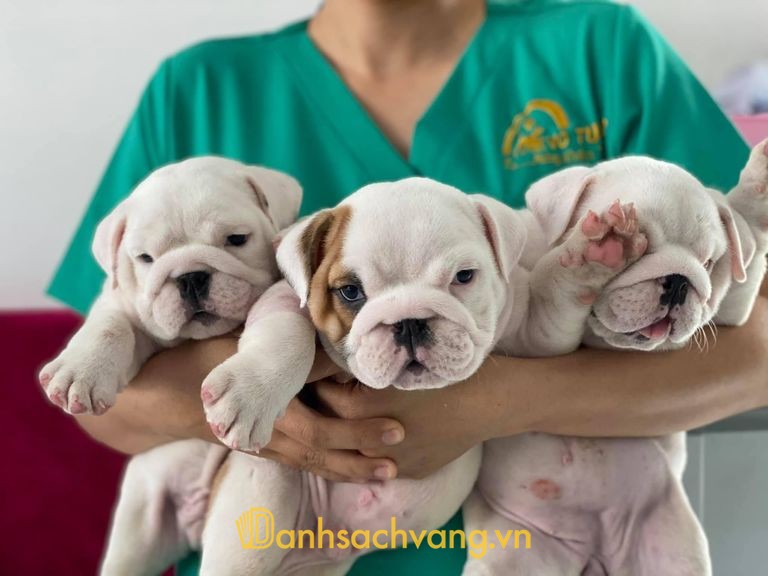 Phòng Khám Thú Y VERAPET tại Tam Hiệp Đồng Nai