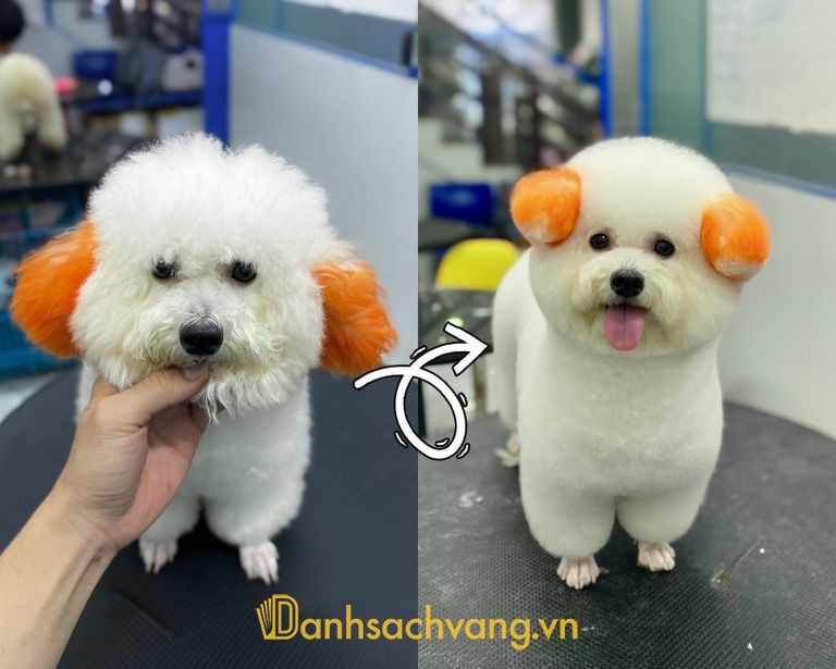Phòng Khám Thú Y GALAPET tại Gia Lai
