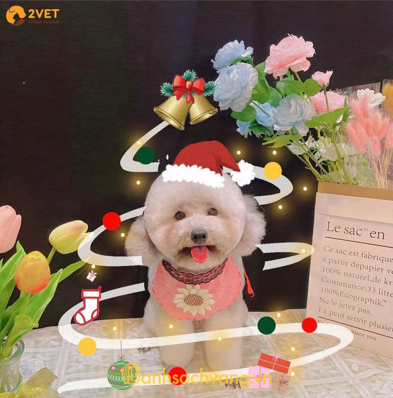 Bệnh viện thú y 2Vet Kim Ngưu Hà Nội