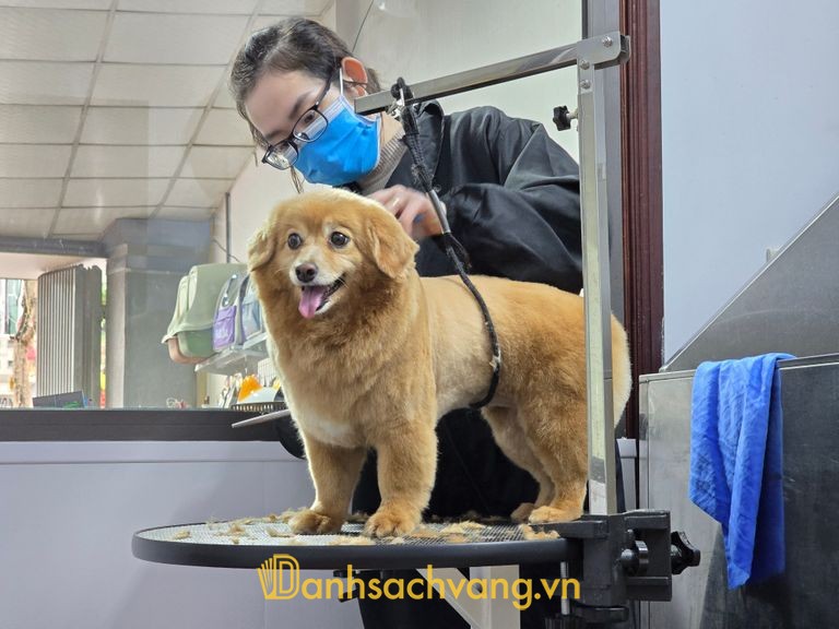 Phòng khám thú y Pet+ tại Hà Tĩnh