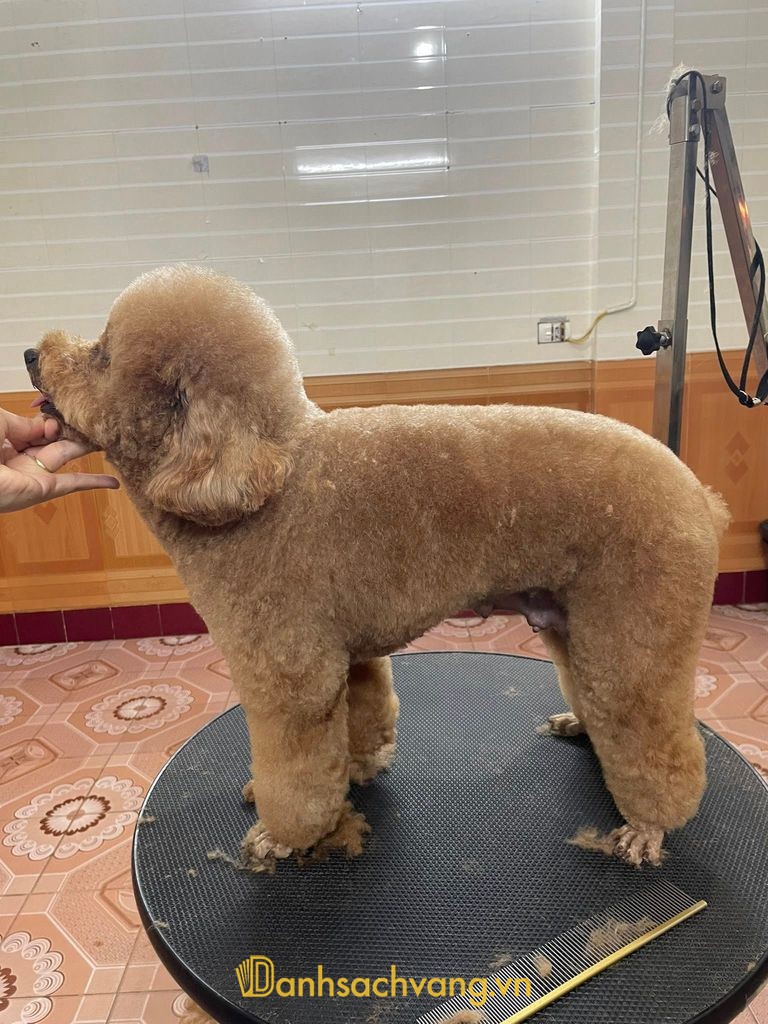 Phòng khám thú y Hà Tĩnh Xù Pet Shop