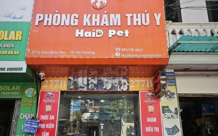 10 Phòng khám thú y ở Hải Phòng nổi tiếng, chăm sóc thú cưng chu đáo