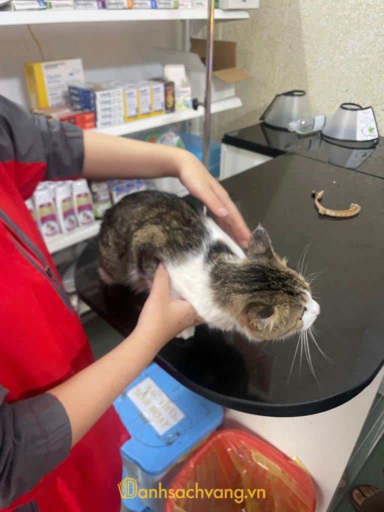 Bệnh Viện Thú Y MB VET HUE tại Phan Văn Trường