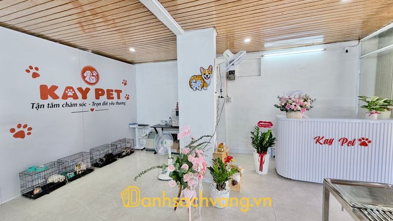 Phòng Khám Thú Y Kay Pet tại 25 Duy Tân Huế