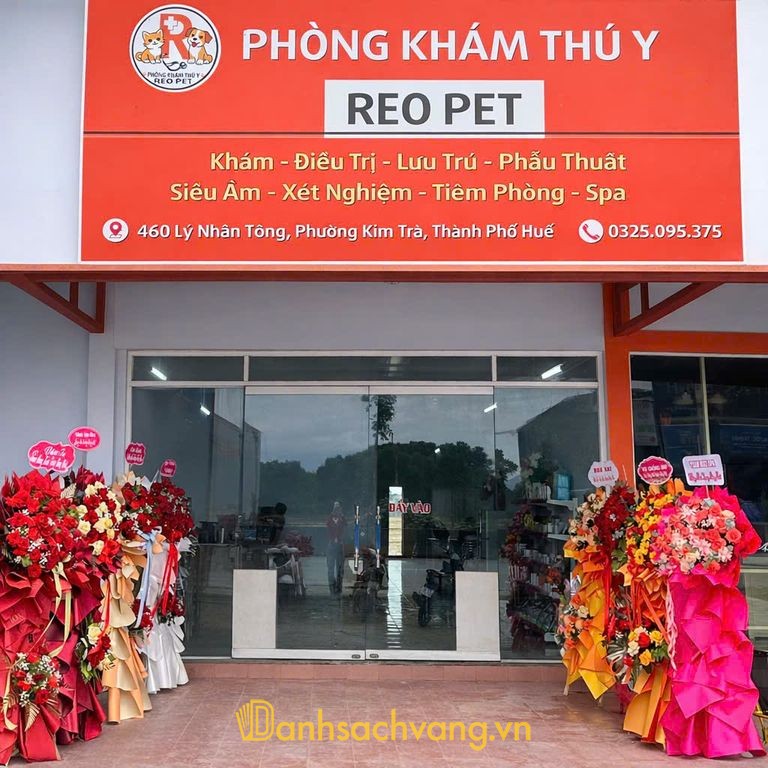 Phòng Khám Thú Y Reo Pet tại Hương Trà Huế