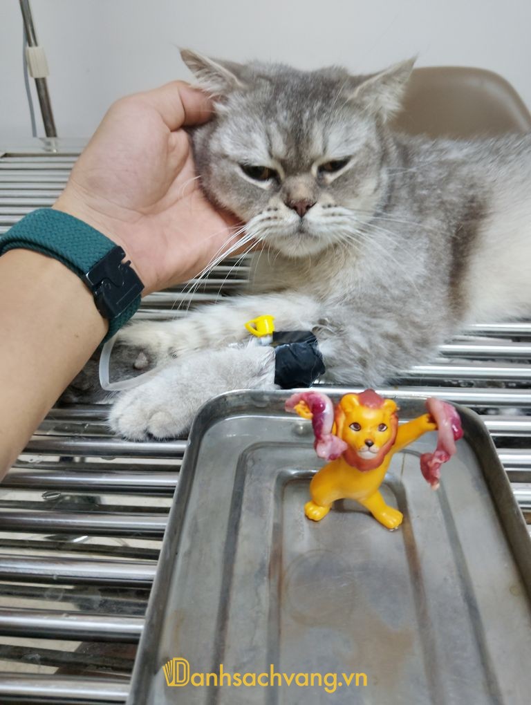 Phòng khám thú y Kokan Pet ở Khánh Hòa