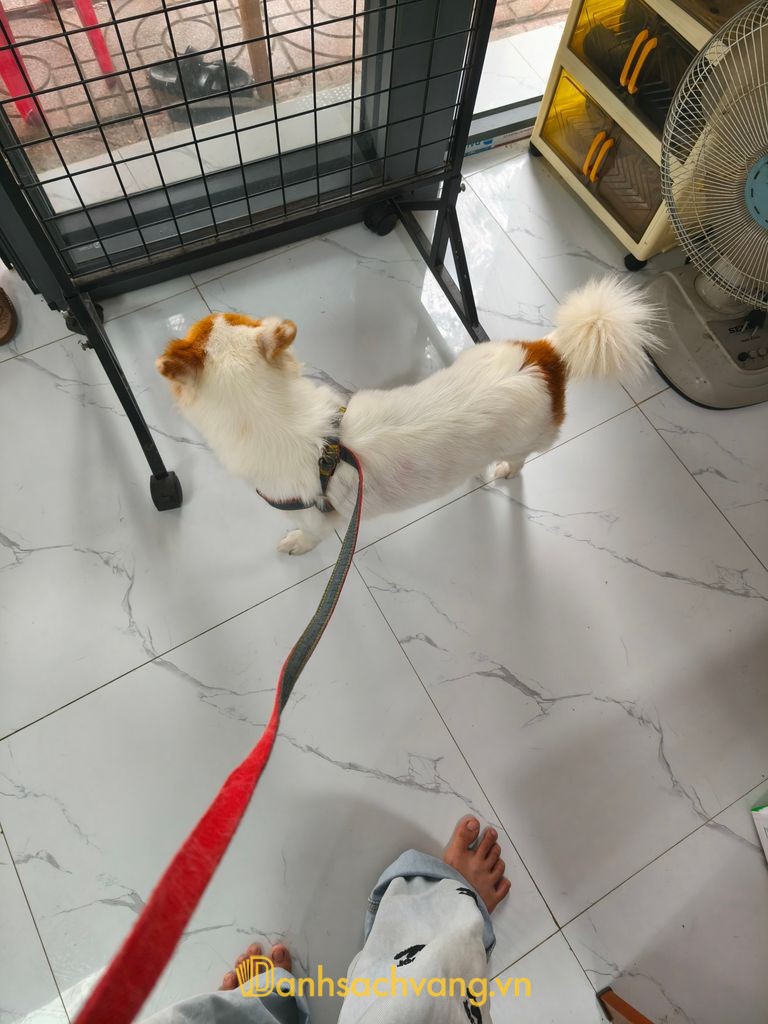 Phòng khám thú y Phú Khánh tại Diên Lạc Khánh Hòa