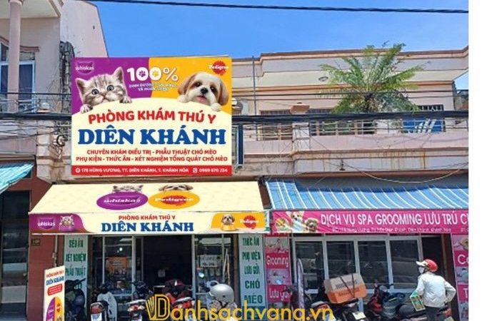 9 Phòng khám thú y ở Khánh Hòa nổi tiếng, bác sĩ tận tâm