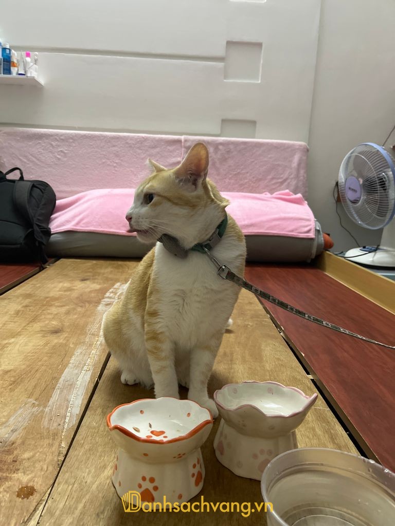 Phòng khám thú y Duy Ái tại Tây Nha Trang