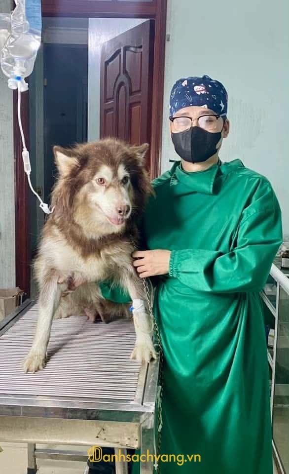 Phòng khám thú y Cao Hoàng tại Thái Hòa Nghệ An