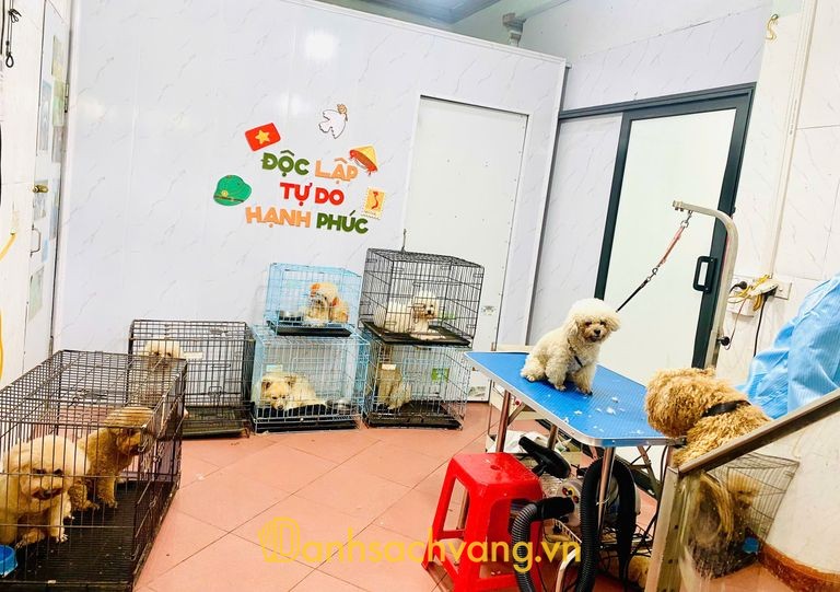 Phòng khám Thú y Flower Pet tại Yên Thành Nghệ An