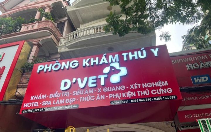 9 Phòng khám thú y ở Nghệ An đáng tin cậy, chi phí rõ ràng