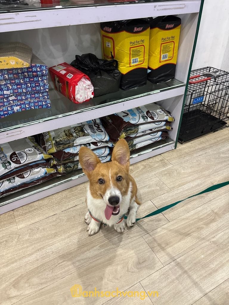 Bệnh viện thú y PetHealth Ninh Bình