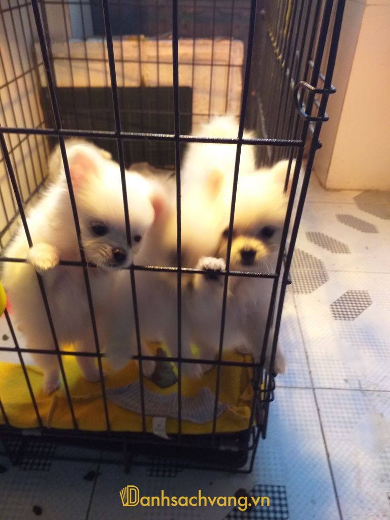 Phòng khám thú y Thạch Phát Pets Ninh Bình