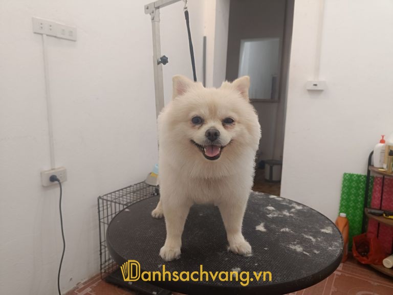 Phòng khám thú y Hoàng Pet tại Ninh Bình