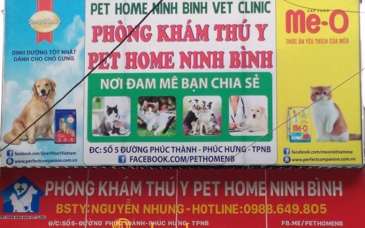 8 Phòng khám thú y ở Ninh Bình cung cấp dịch vụ đa dạng, tận tâm