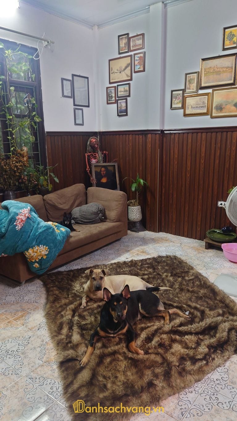 Phòng khám thú y SkyPets tại Phú Thọ