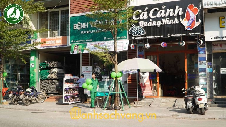 Bệnh viện thú y Pethealth Hạ Long - phòng khám thú y ở Quảng Ninh
