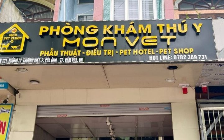 5 Phòng khám thú y ở Quảng Ninh uy tín, chăm sóc thú cưng tận tâm