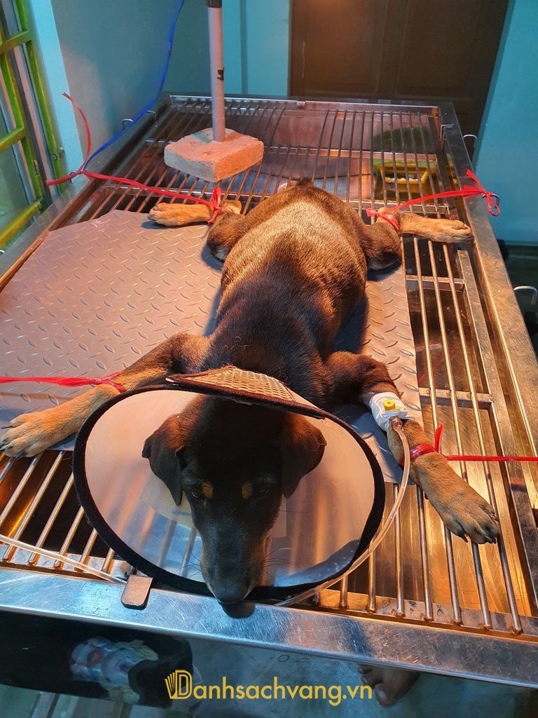 Bệnh viện thú y Relivet tại Quảng Trị