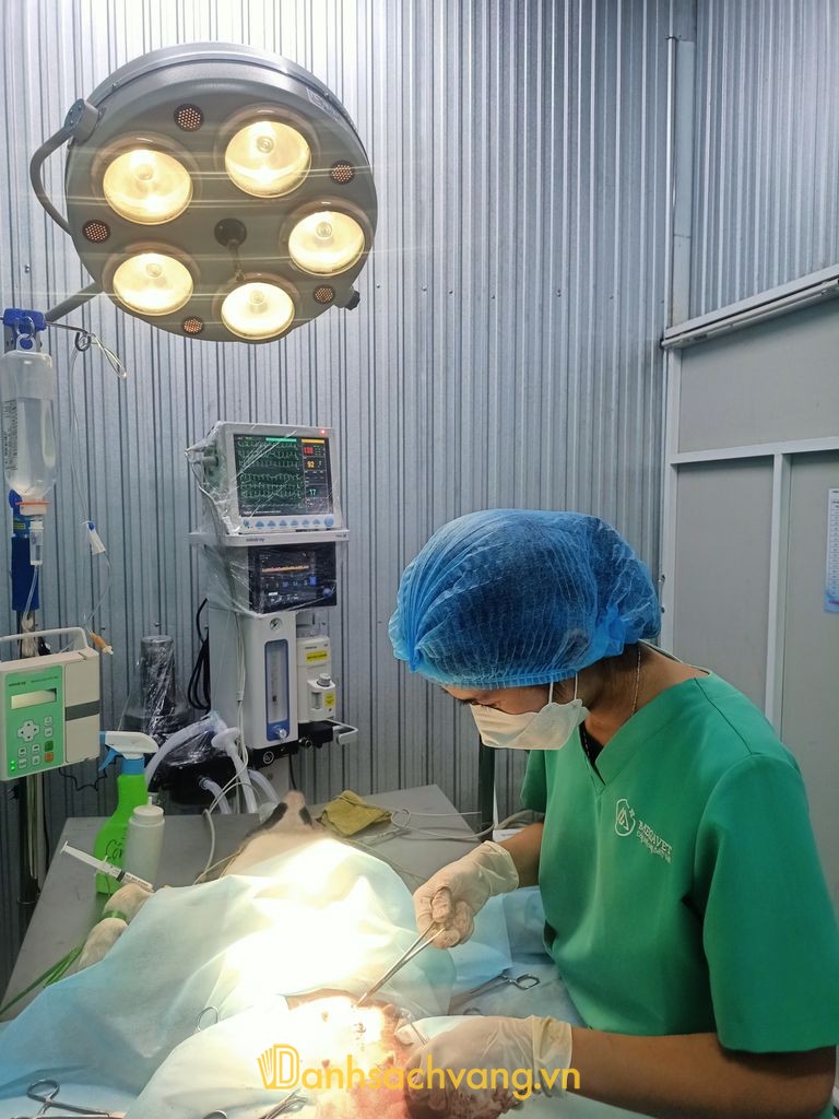 Bệnh viện thú y Dongha Vet tại Đông Hà Quảng Trị
